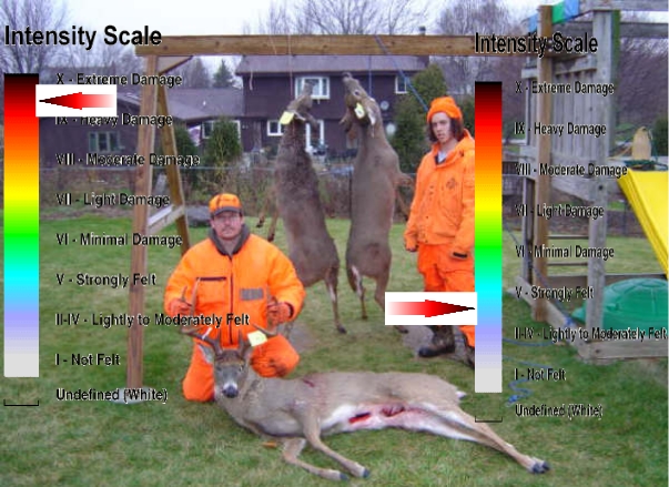 hunting6.jpg
